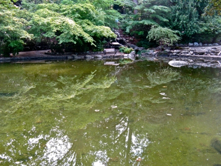 Lithia Park in Ashland, Oregon