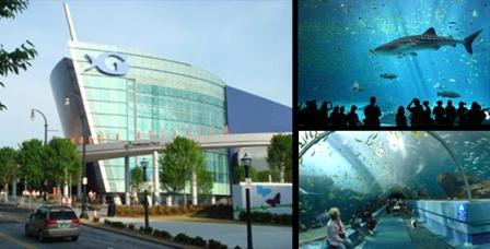 aquarium 